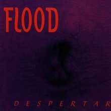 Flood (POR) : Despertar